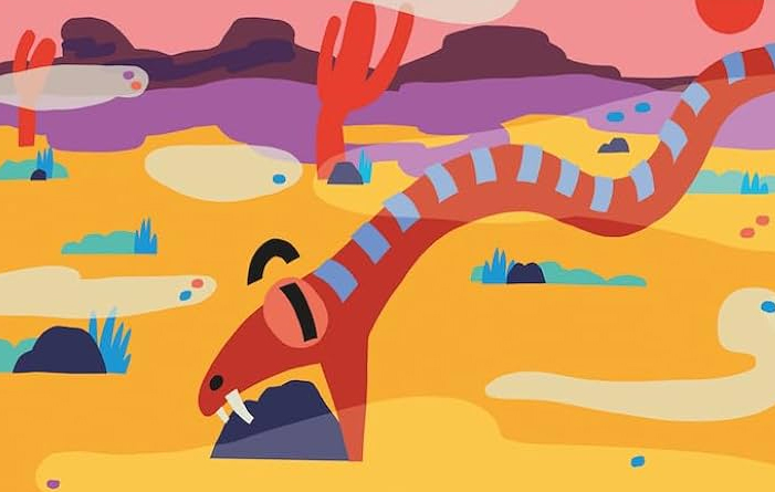 copertina del libro Forte il vento forte