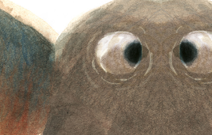 copertina del libro Strano