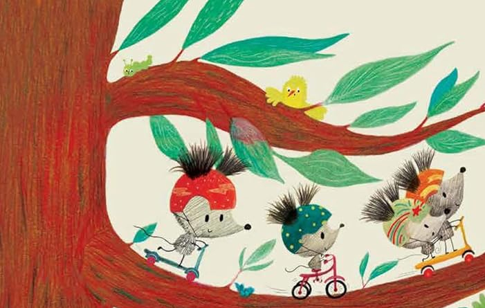 copertina del libro Un orso fa sempre comodo